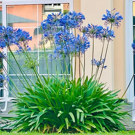Casa Solina Apartment Islantilla